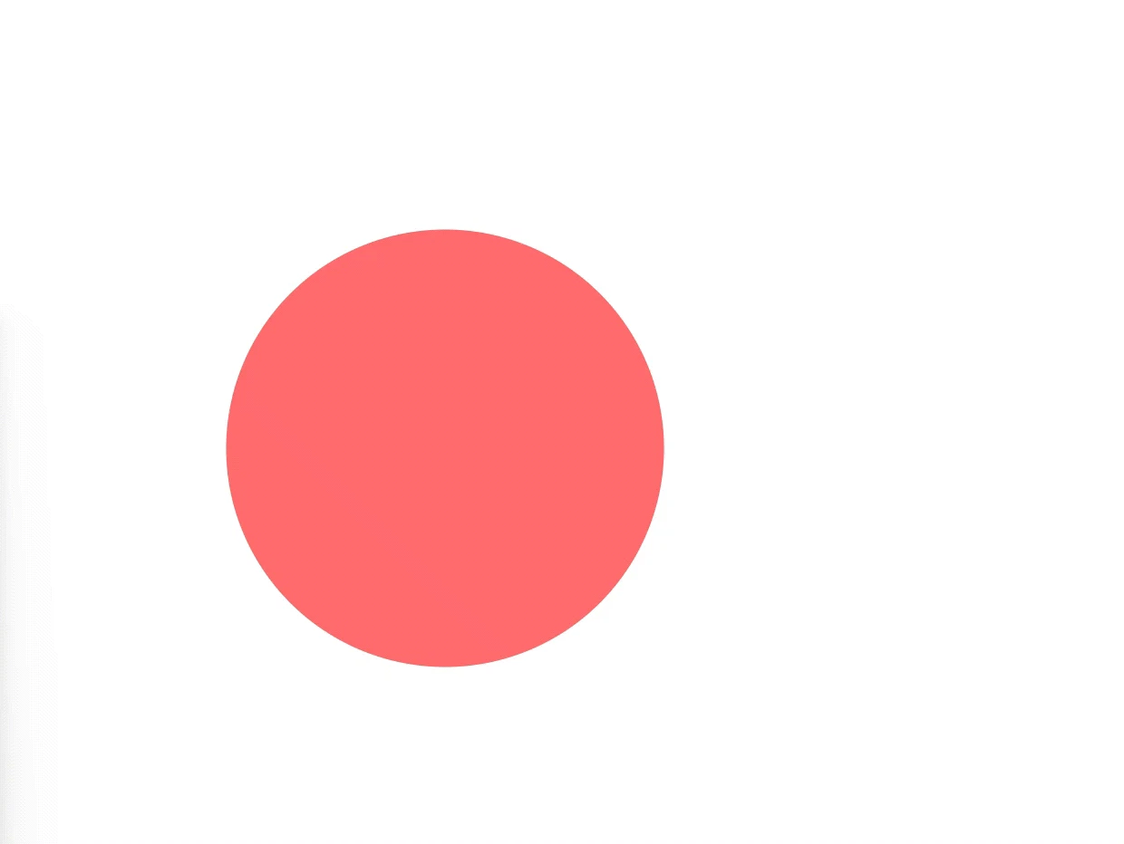 animation.gif