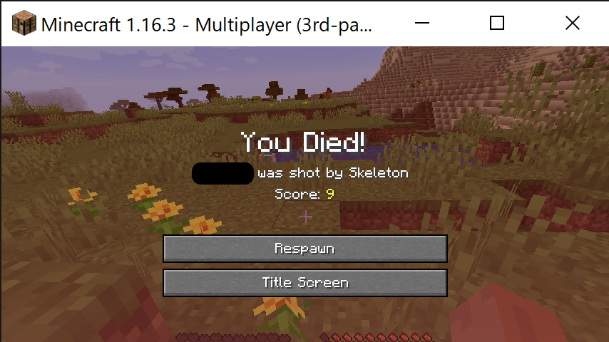 Minecraft 1.16.3 - Multiplayer (3rd-party Server) 2020_10_09 15_32_31_r.png