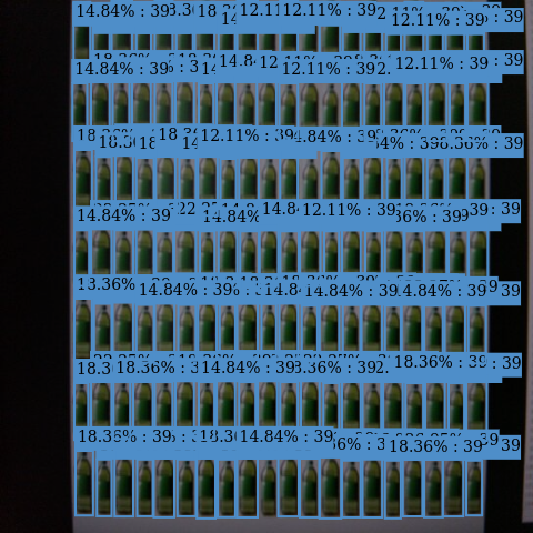 console_result_max_detection.png