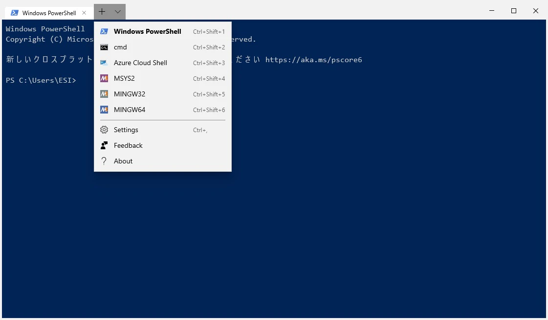 WindowsTerminal_01.jpg