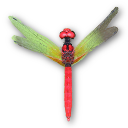 os_dragonflybsd.png
