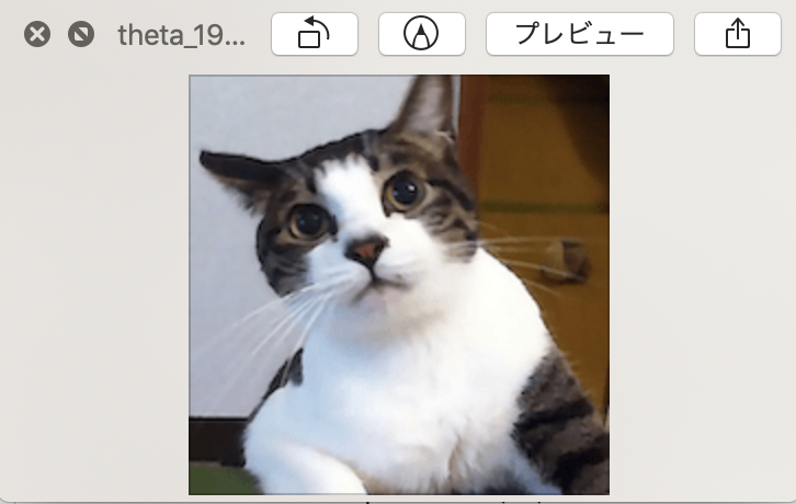 スクリーンショット 2019-05-05 12.26.43.png
