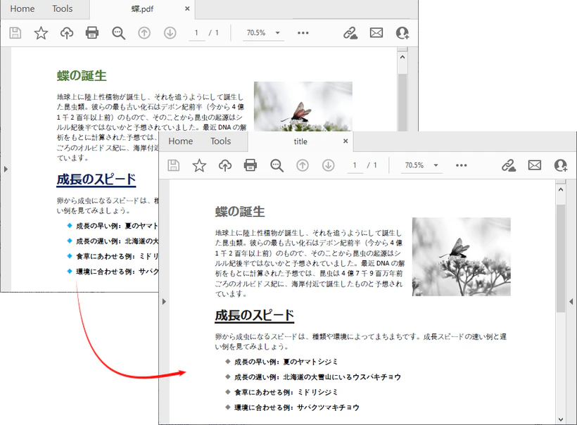 PDFtoGrayscale.png