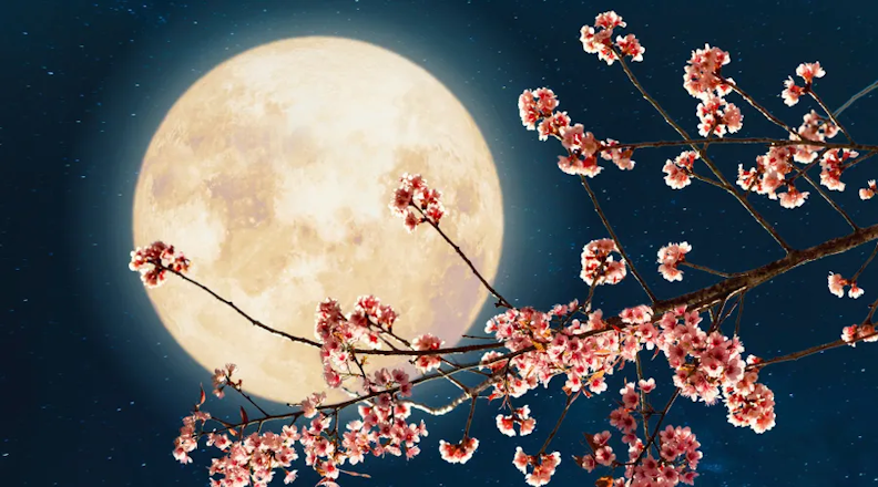 moon_cherry.png