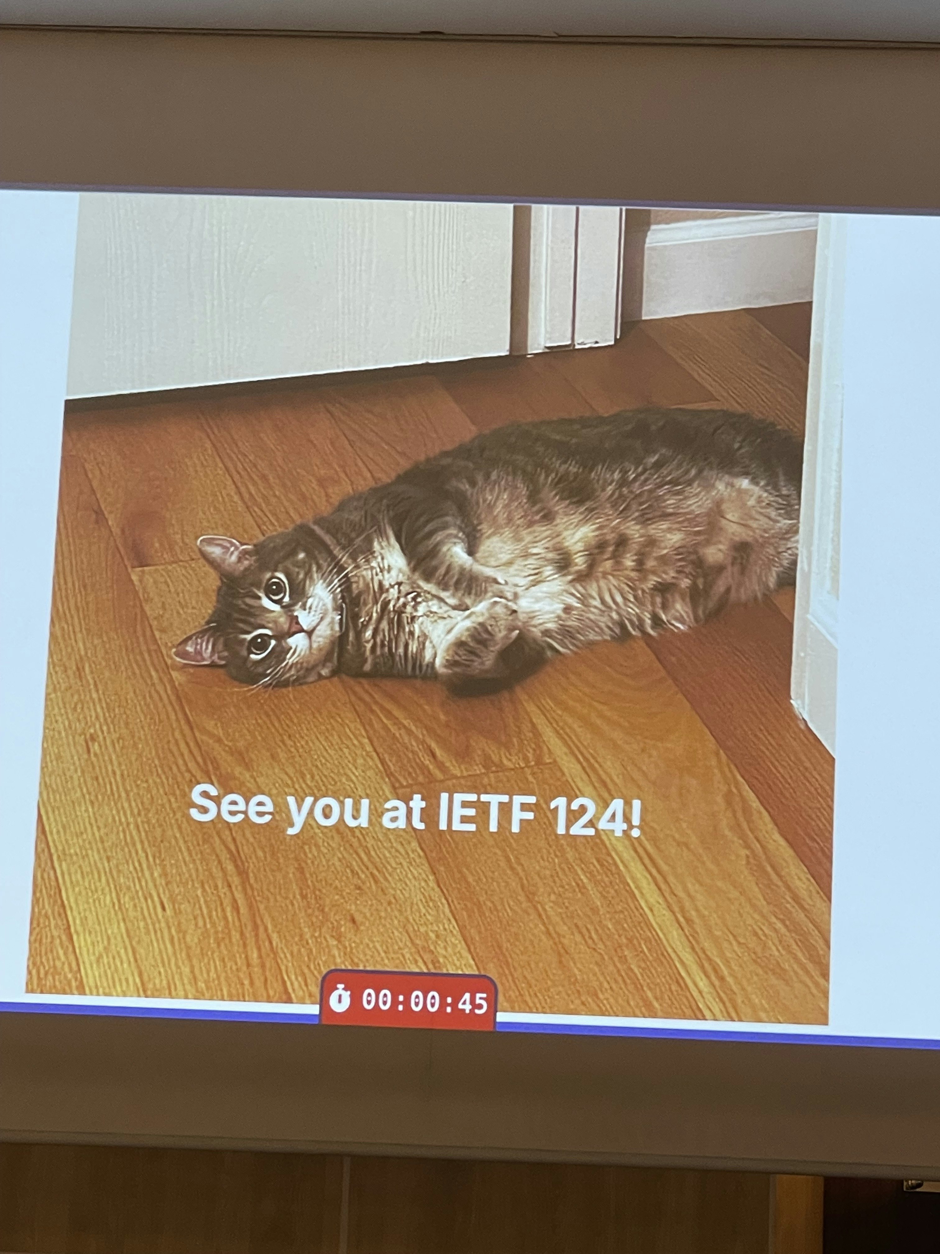 IETF_hotrfc_nekochan.jpg