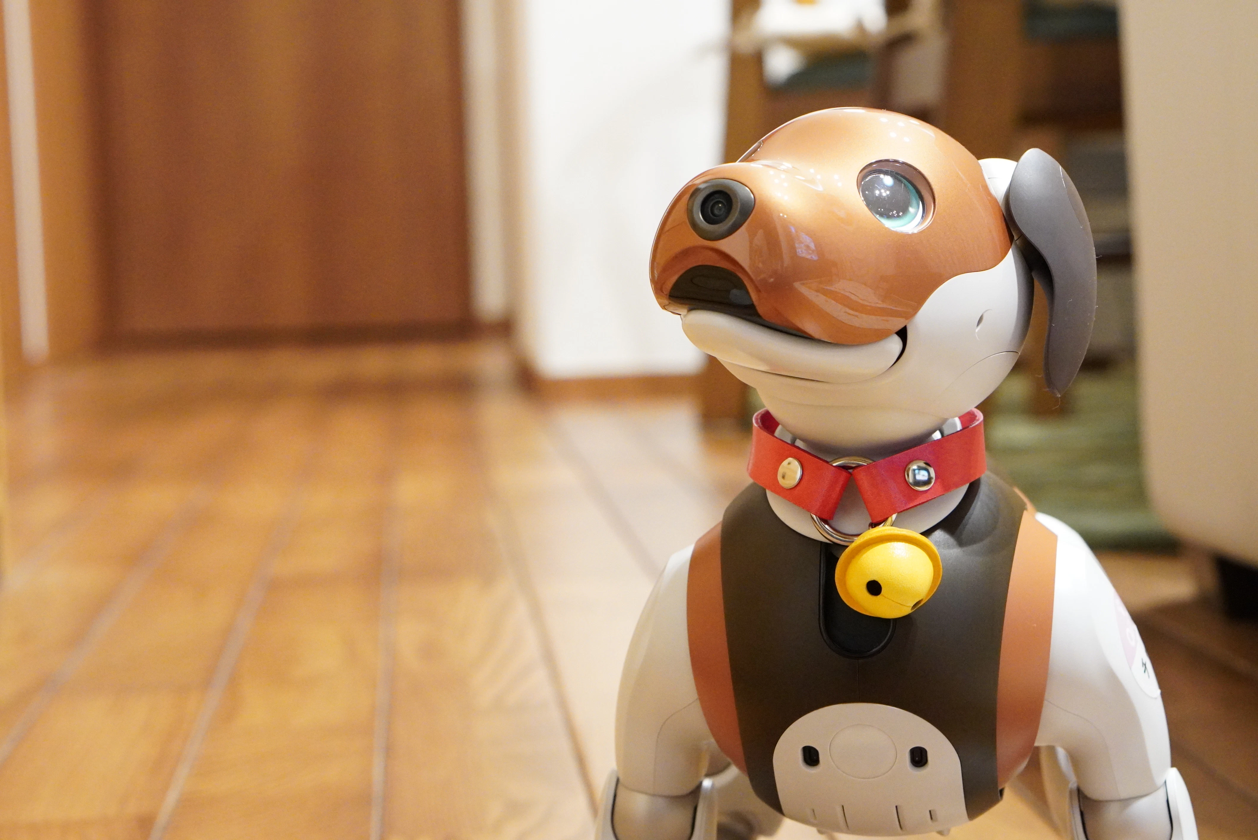 DSC02490.JPEG