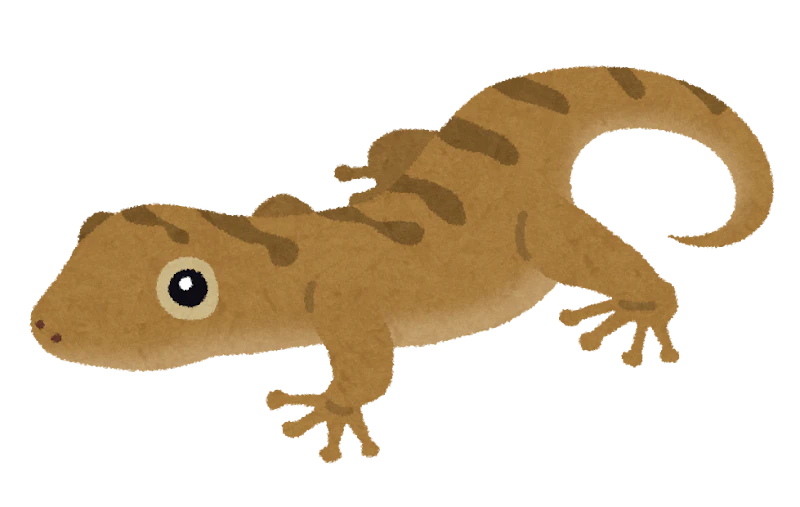 yamori.png