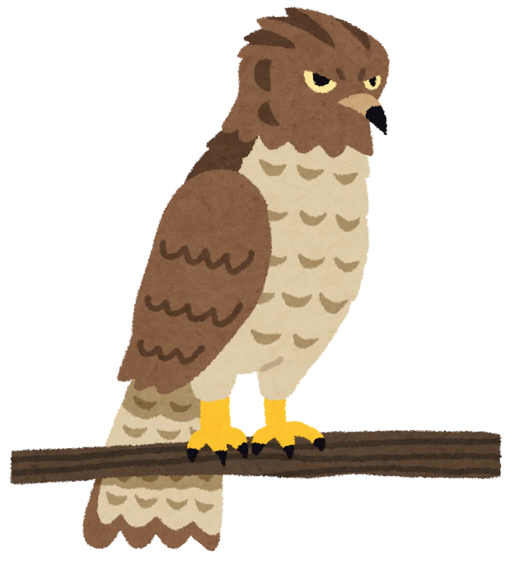 bird_taka.png