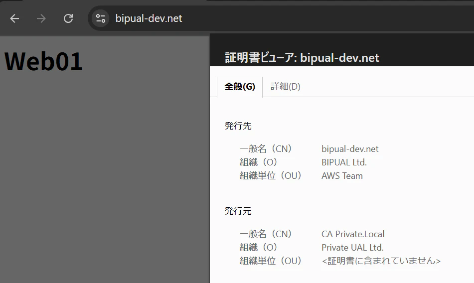 web01.png