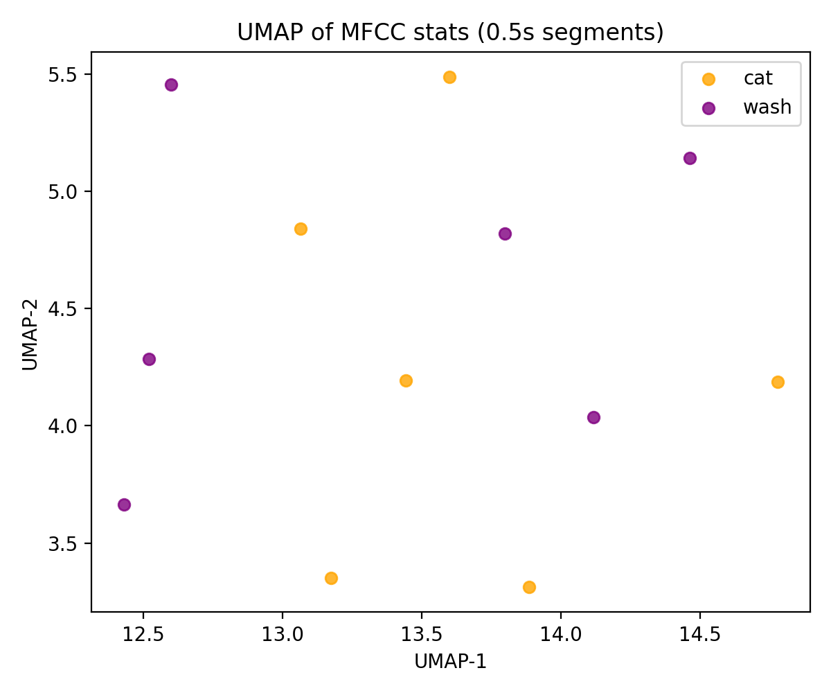 cat_vs_washing_mfcc_umap.png