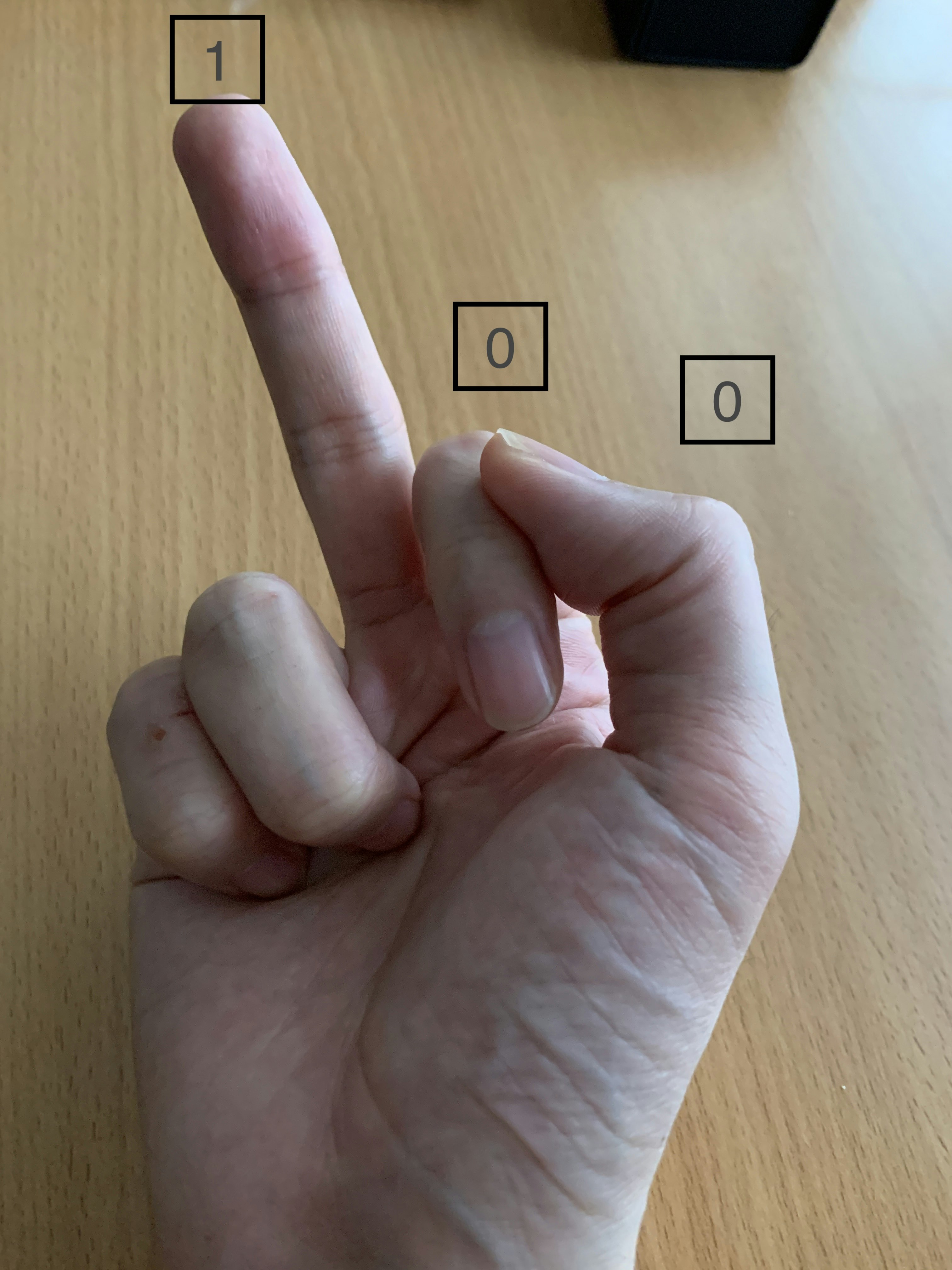 Linuxでのパーミッション変更に役立つ 片手で31まで数える方法 Qiita Linuxでのパーミッション変更に役立つ 片手で31まで数える方法 Qiita