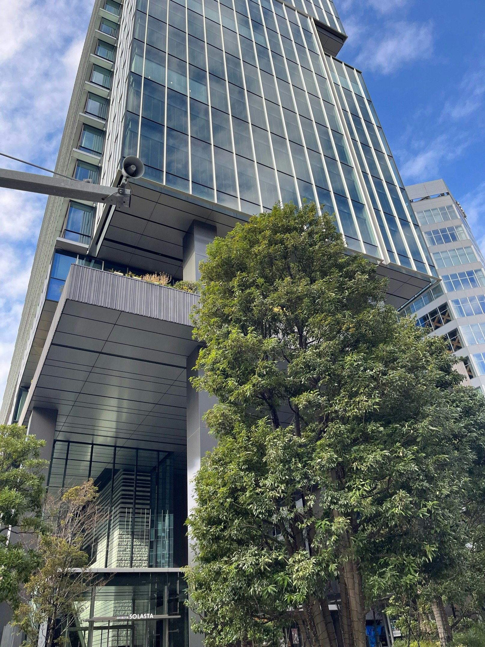 名称未設定のノート (4)-4 (1).jpg