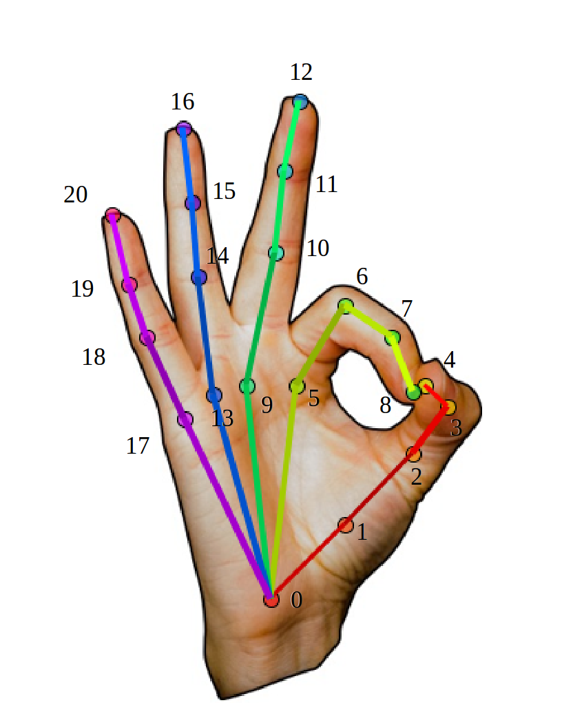 openposeのhand detection keypoints