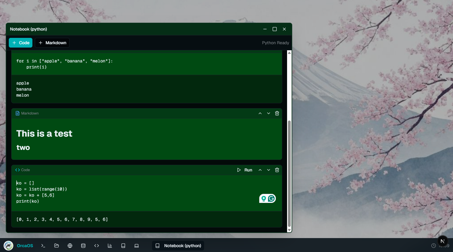 Notebookライクな利用
