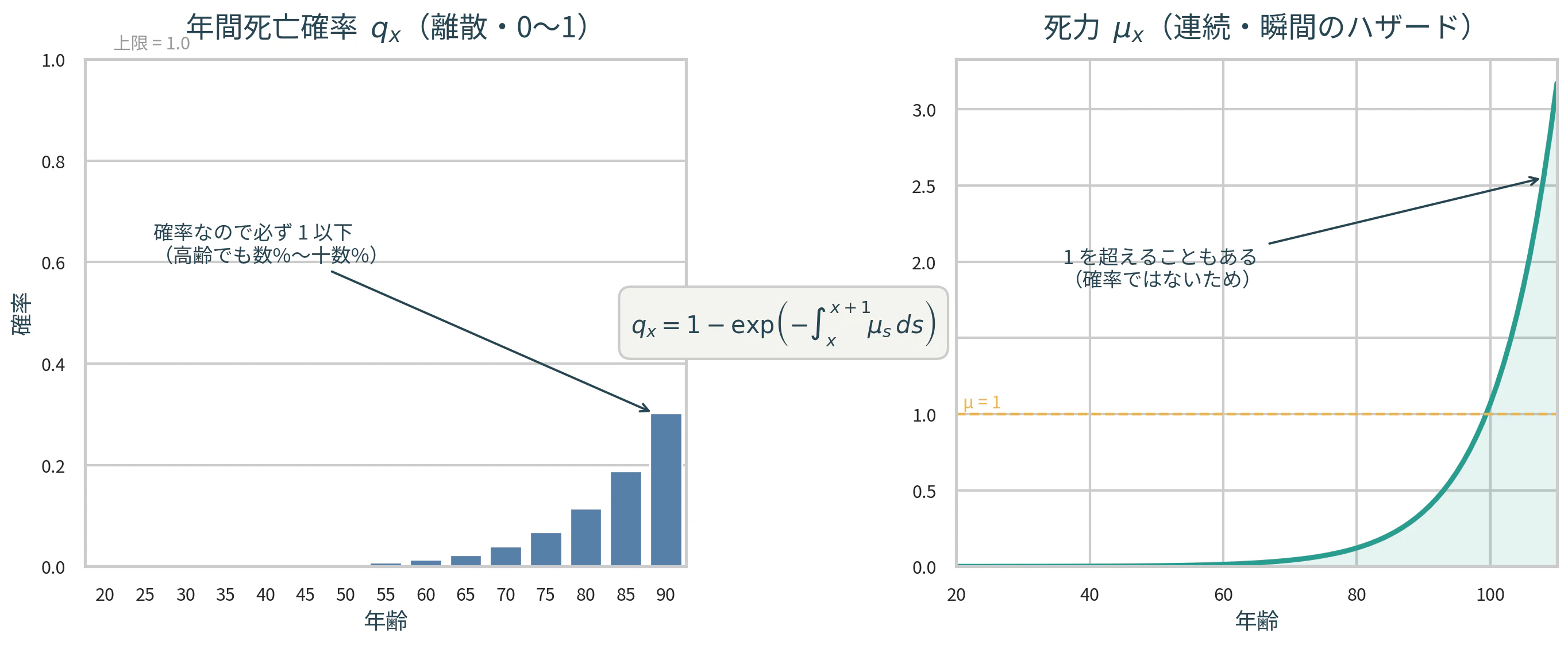 mortality_qx_mu.png