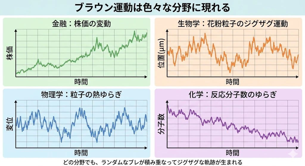 four_domains_brownian_motion.jpg