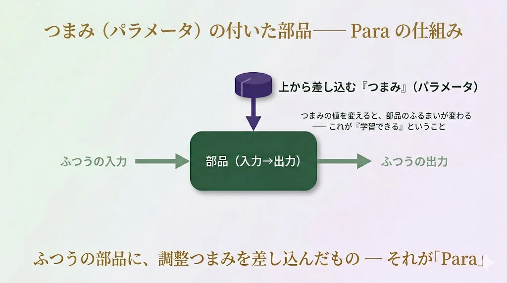 para.jpg