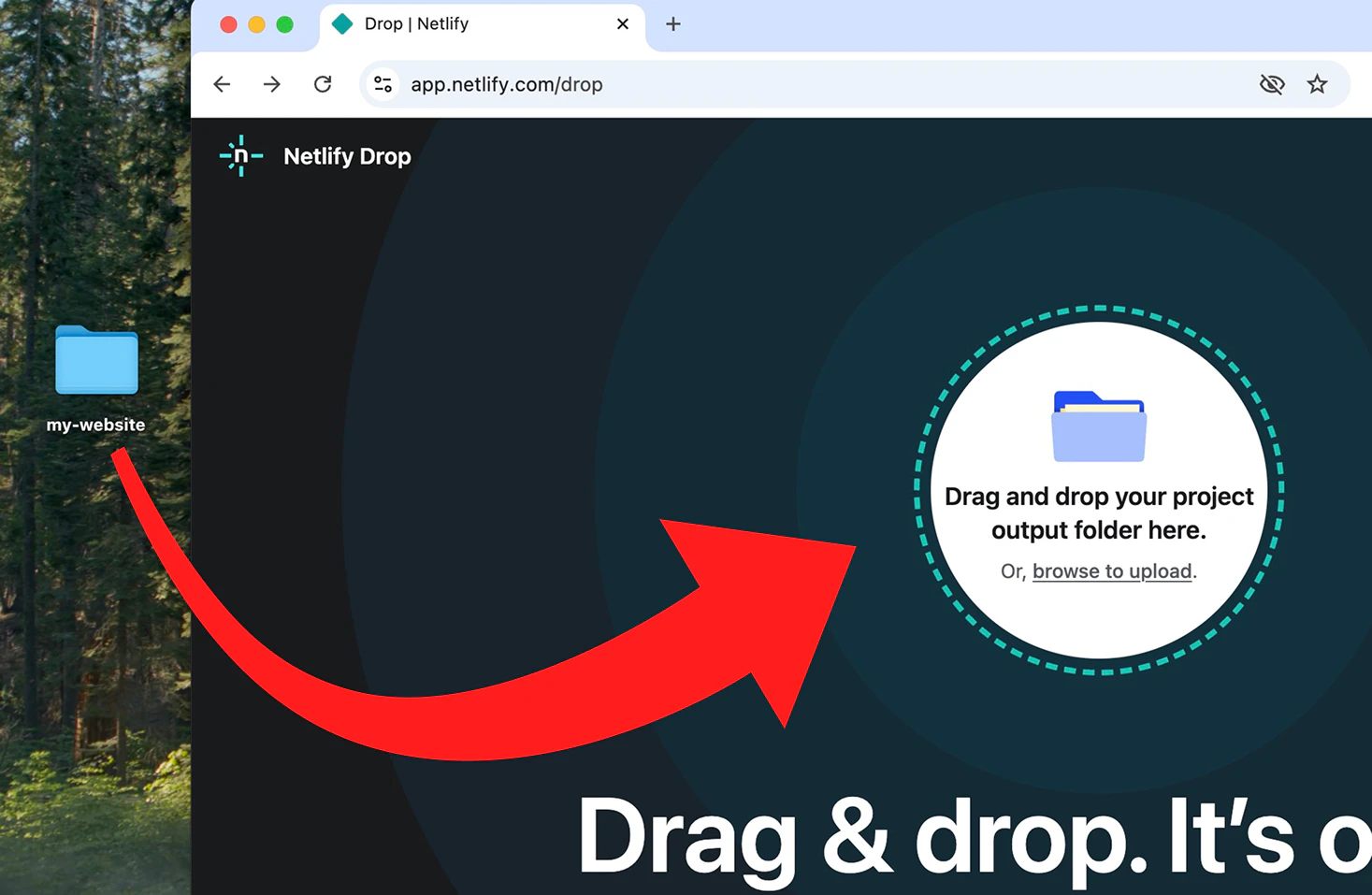 netlify-3.jpg