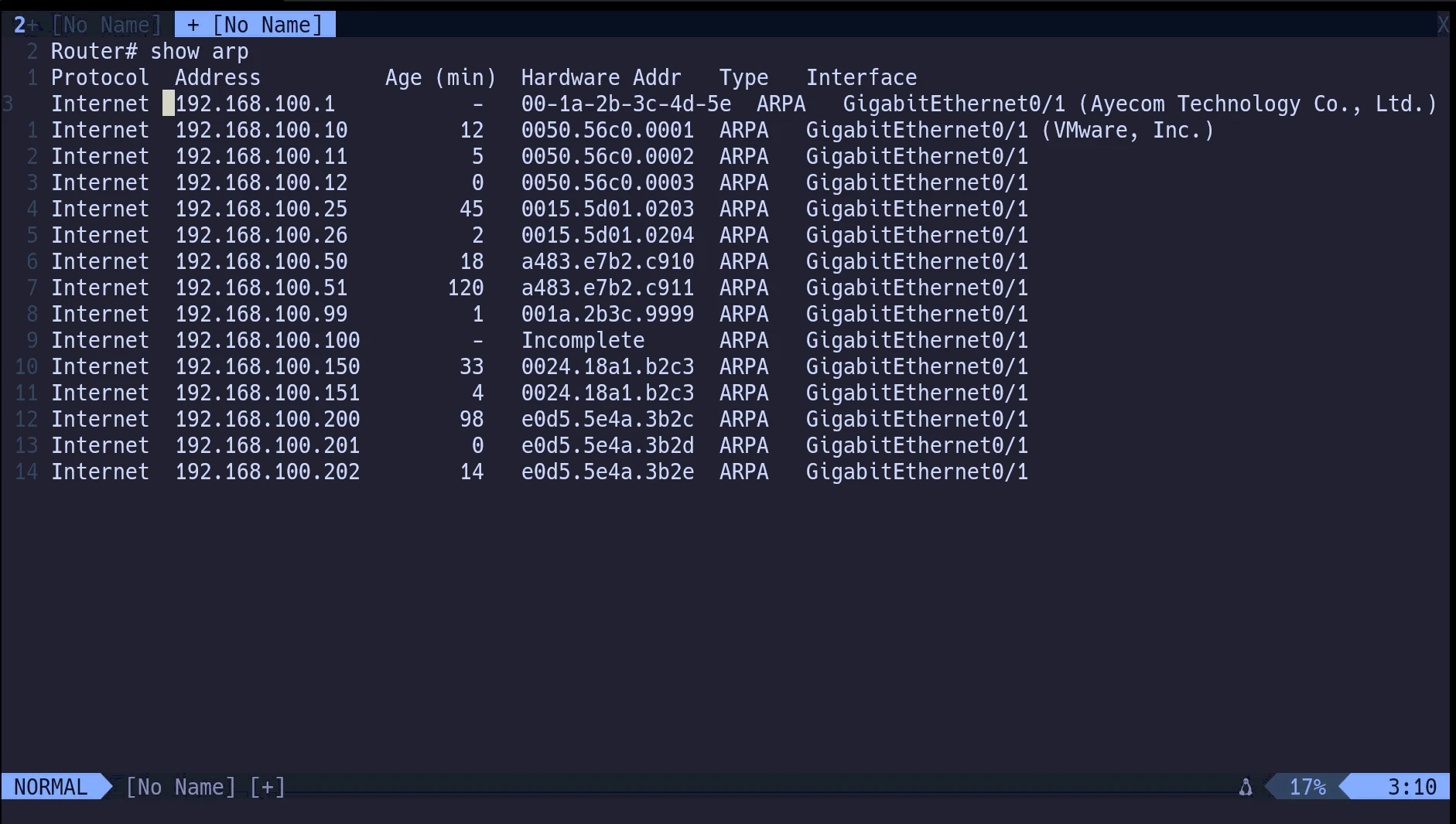 nvim_custome_3.gif