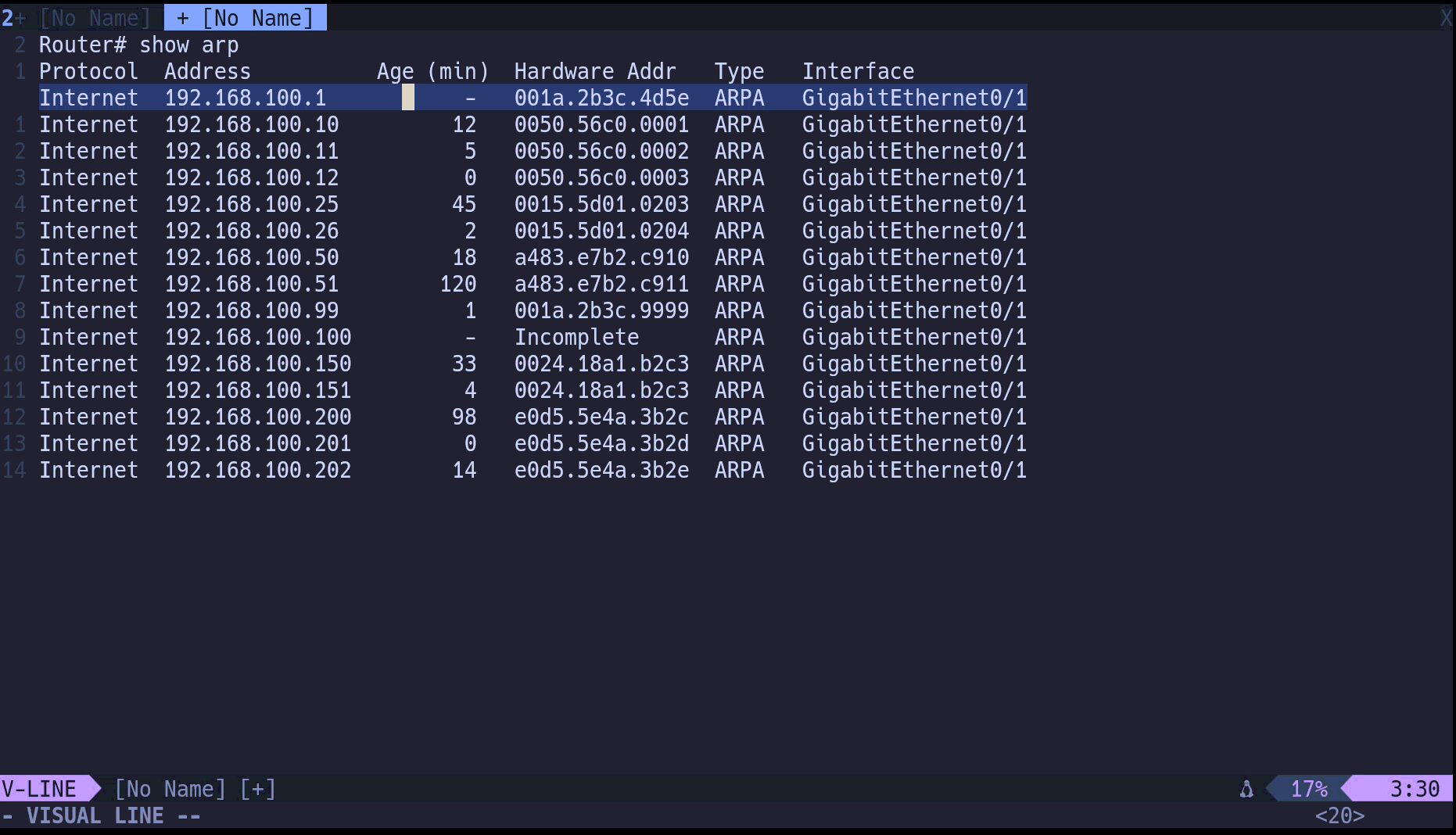 nvim_custome_2.gif