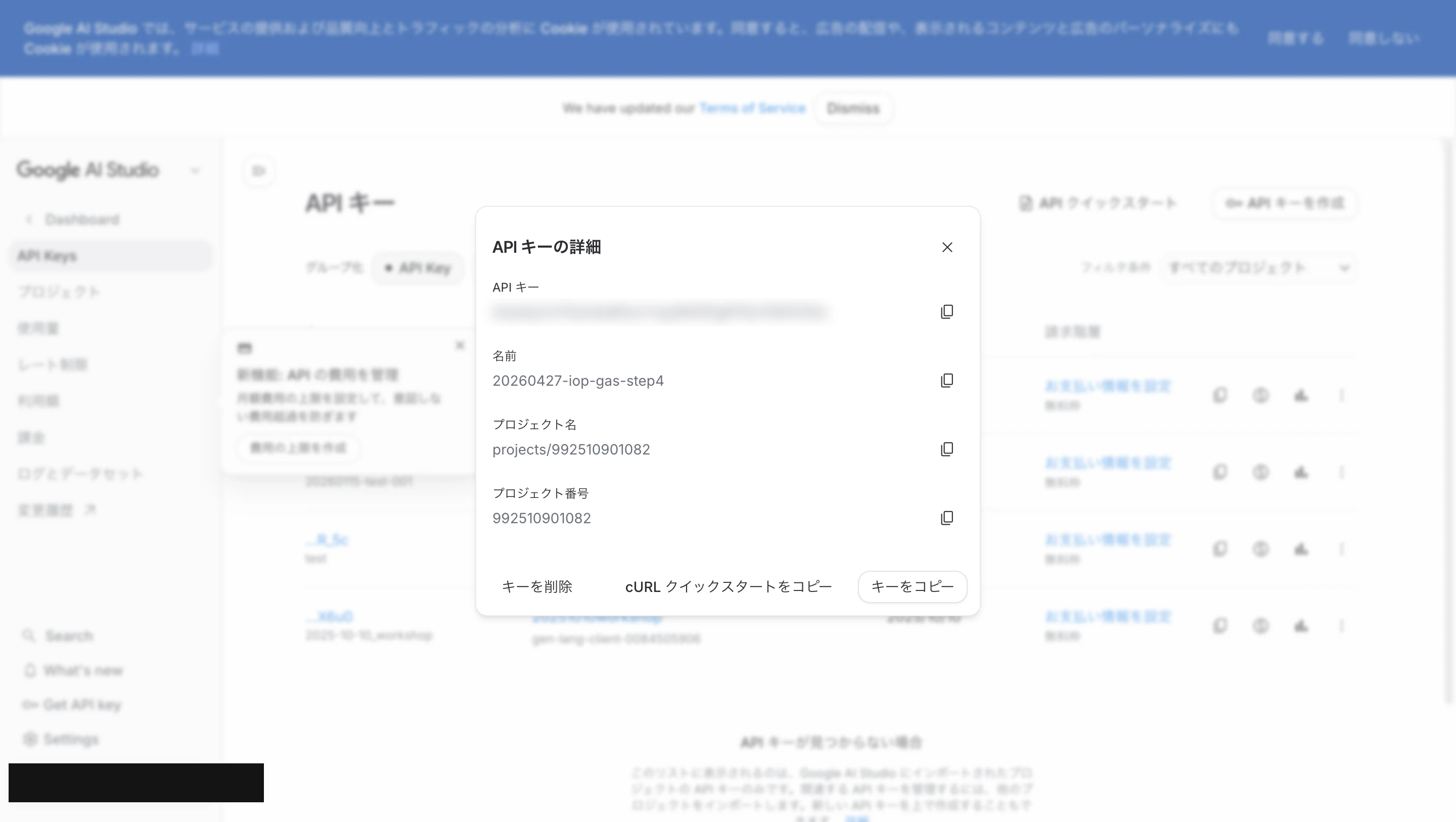 APIキーが発行された
