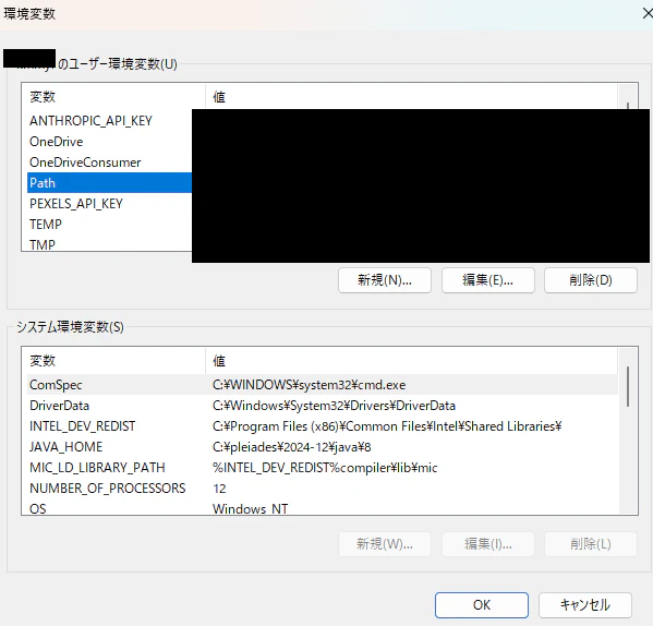 08_env_vars_list.png