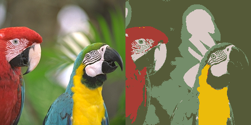 Parrots_with_k5.png