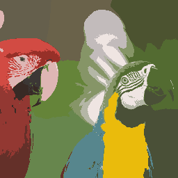Parrots_K20.png
