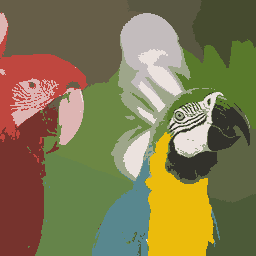 Parrots_K17.png