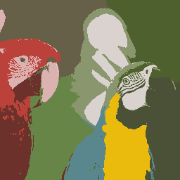 Parrots_K11.png