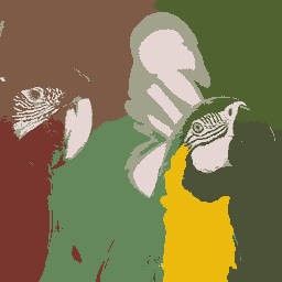 Parrots_K08.png