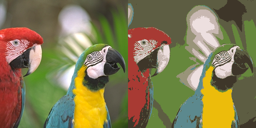 Parrots_with_k9.png