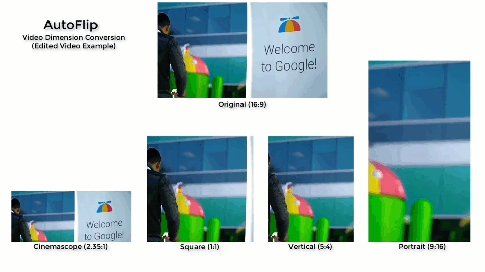 autoflip_edited_example.gif