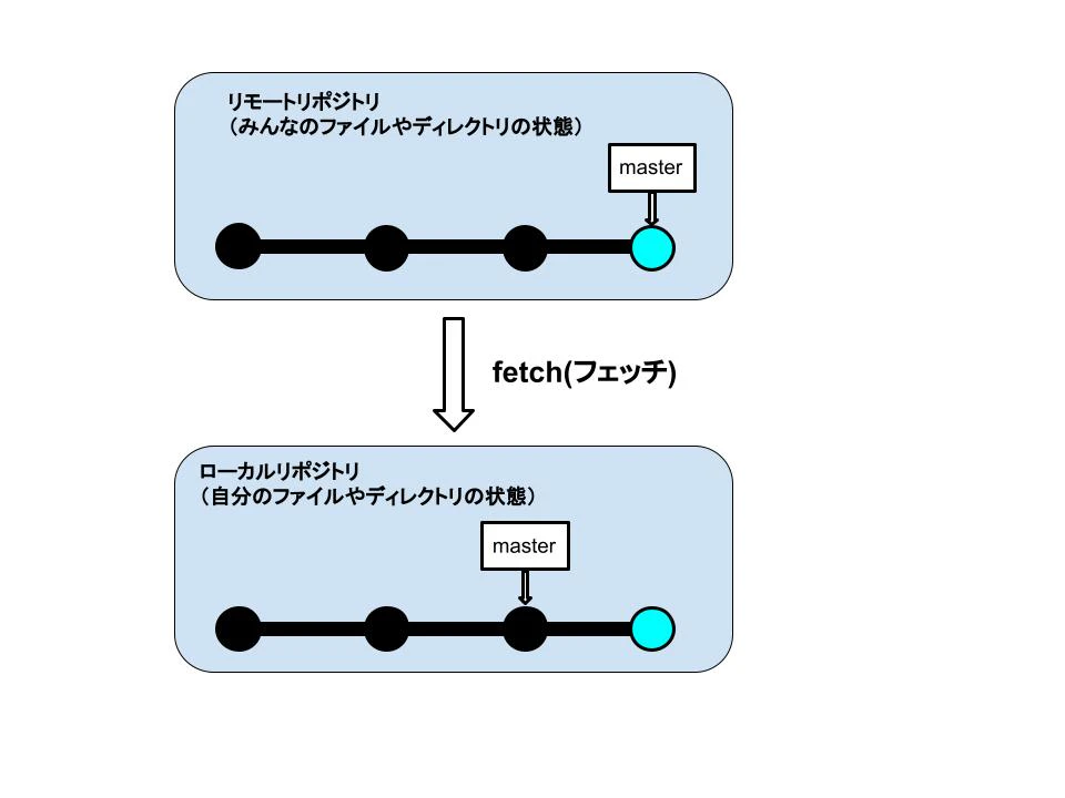 フェッチ.jpg