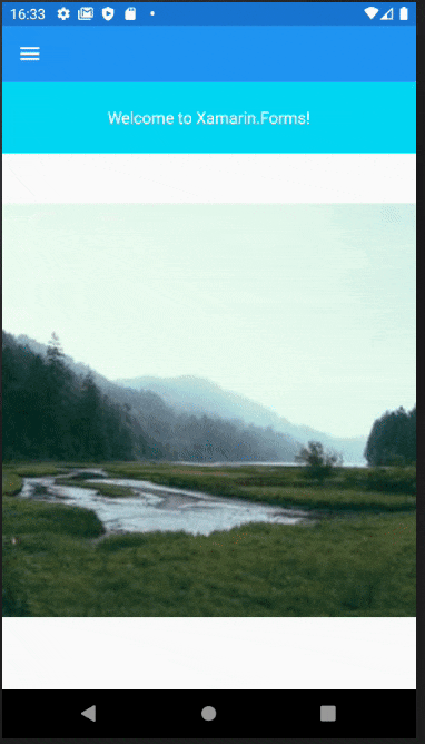 _2021-01-03 16.33.11.gif