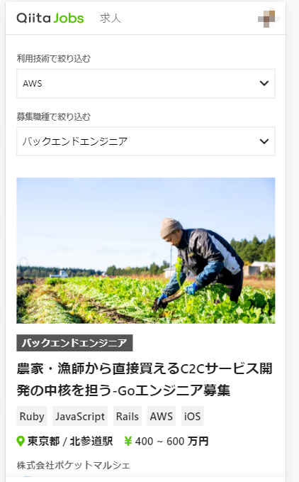 qiita-job-raw-2.png