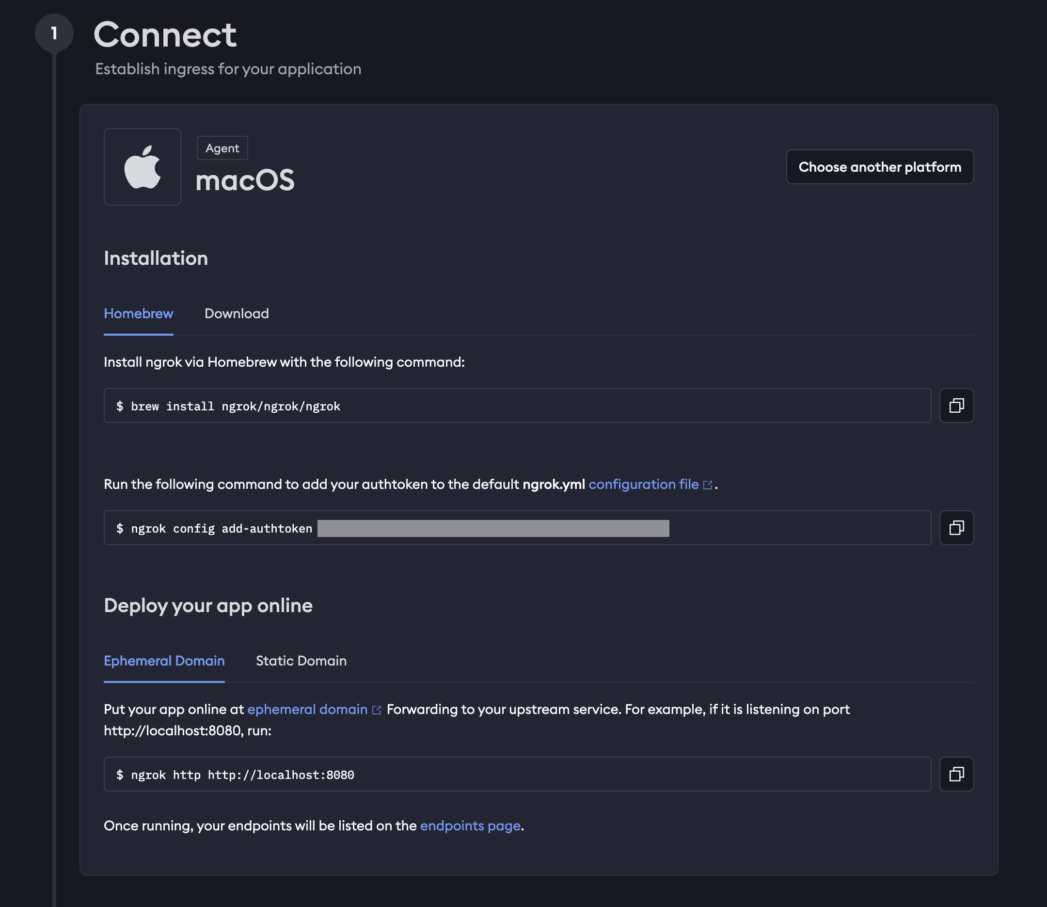 connect-ngrok.png