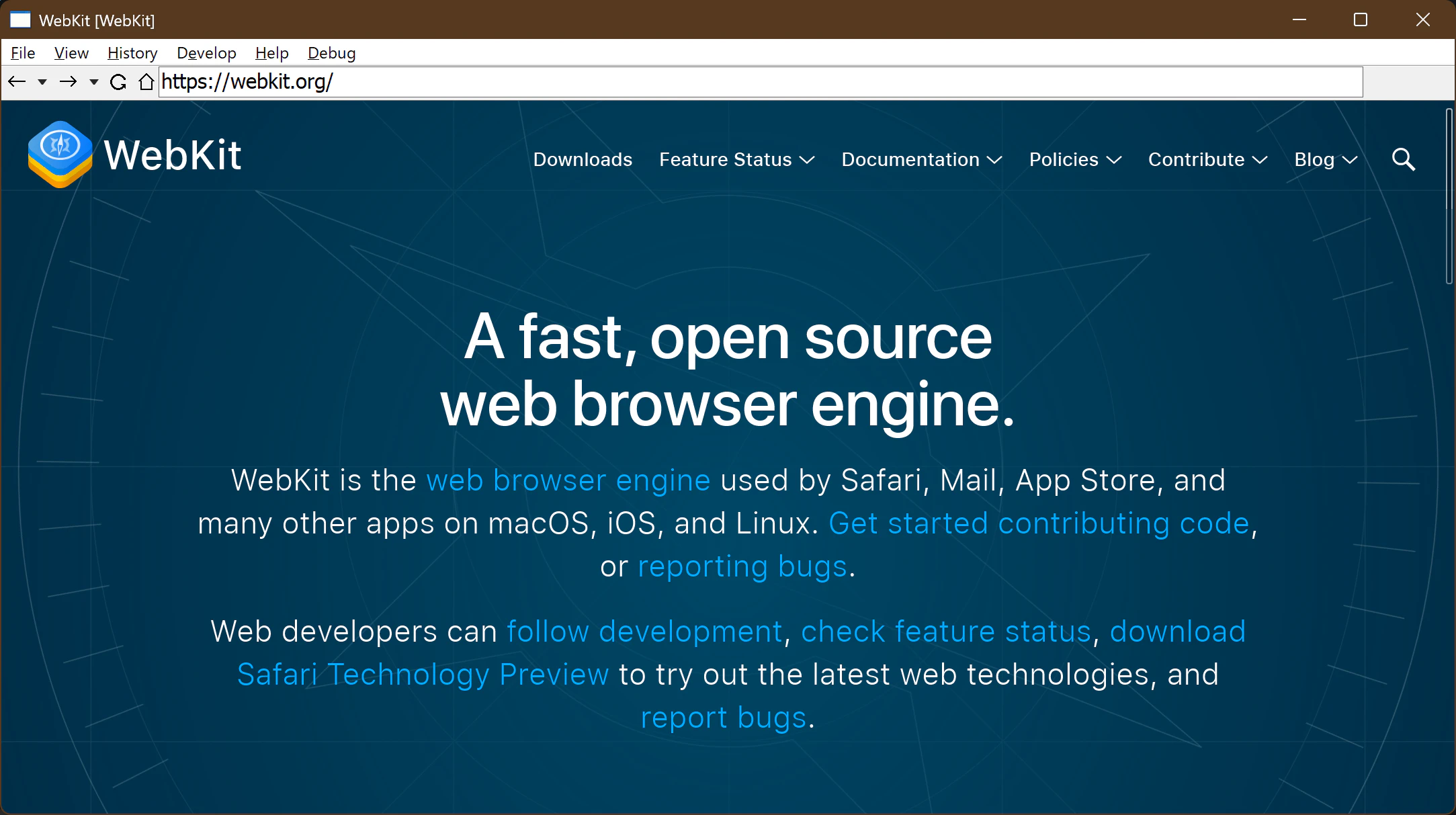 Windows-64-bit-Release-Build-4.png