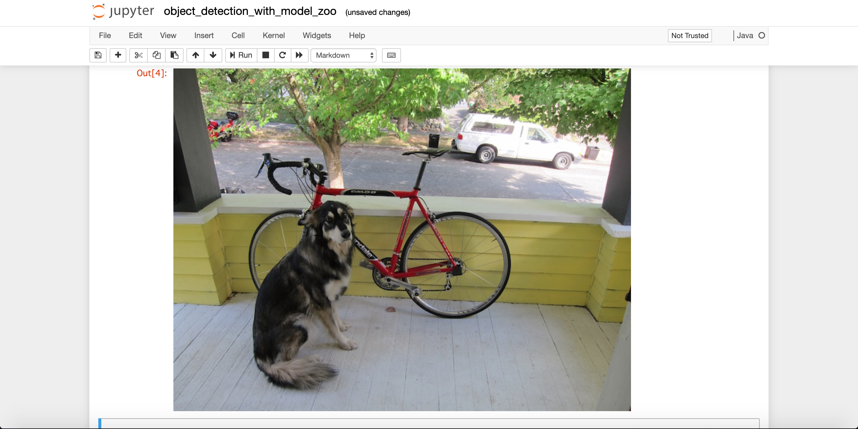 dog_byke_car.png