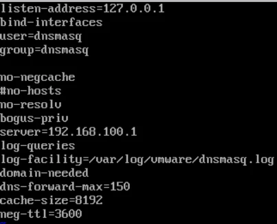 dns.png