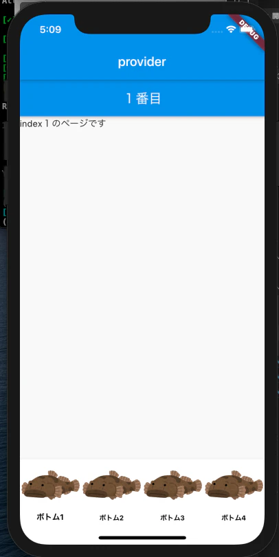 provider.png