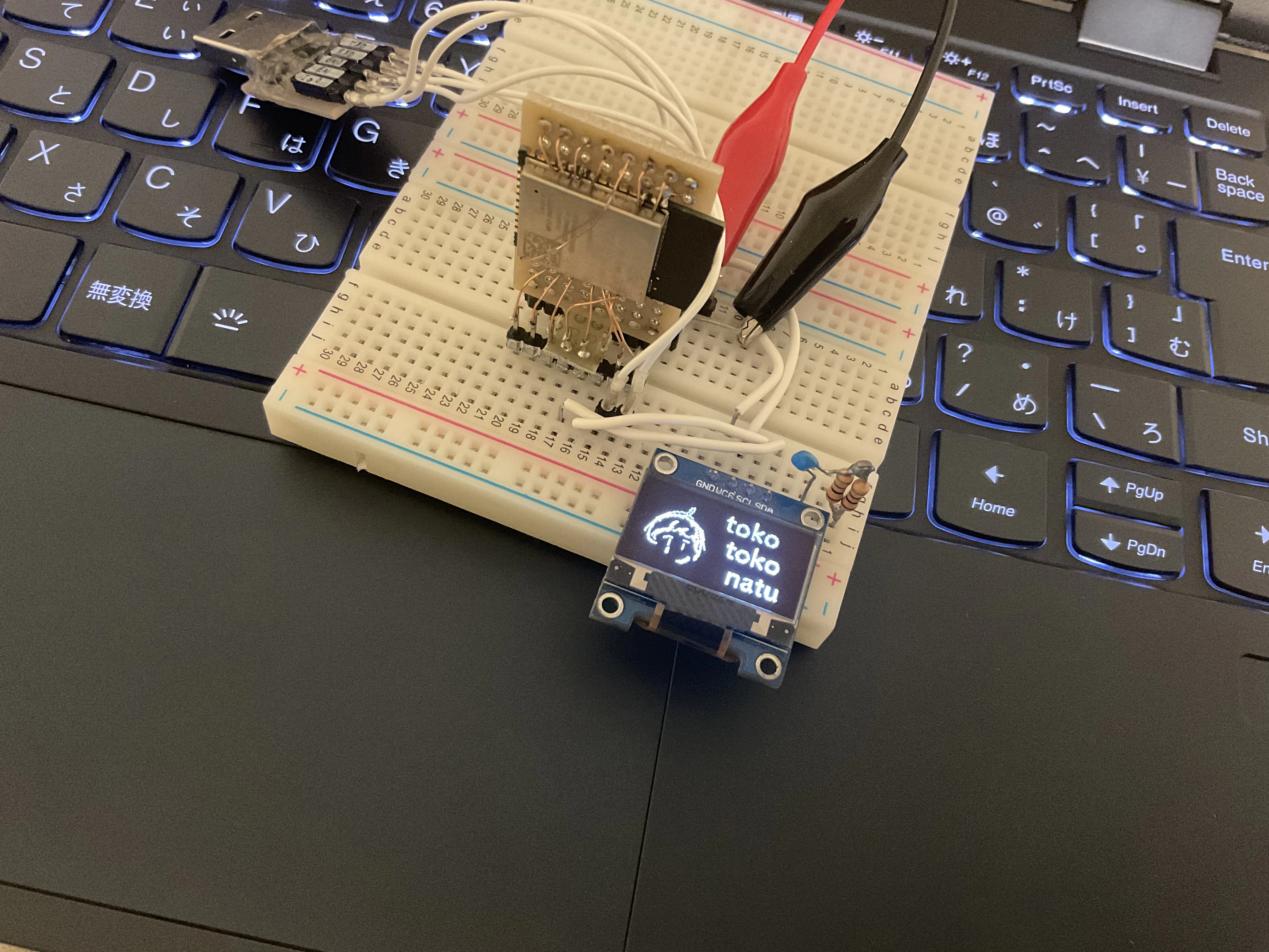 92F79F05-2FCF-4248-A78F-4EE578494D66.jpeg