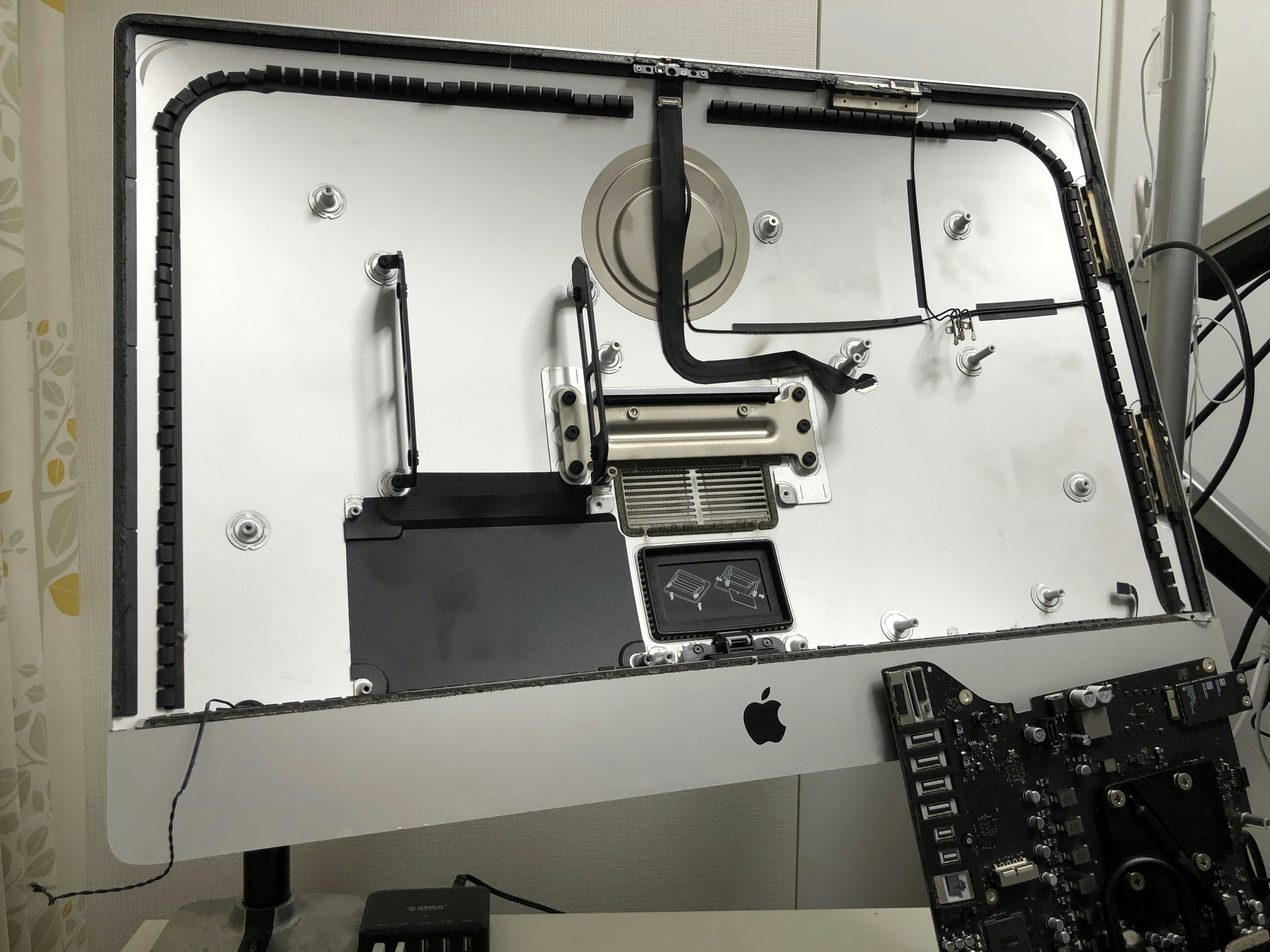 IMG_8855.jpeg IMG_8855.jpeg