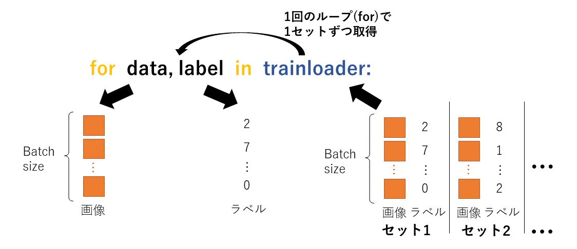 trainloaderの概要
