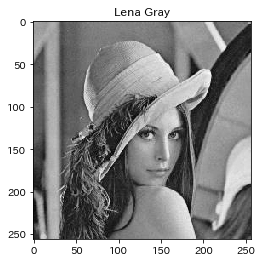 lena_gray_2.png
