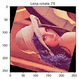 lena_rotate_1.png