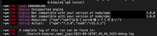 npm-error.png