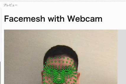 Facemeshで試した場合.jpg