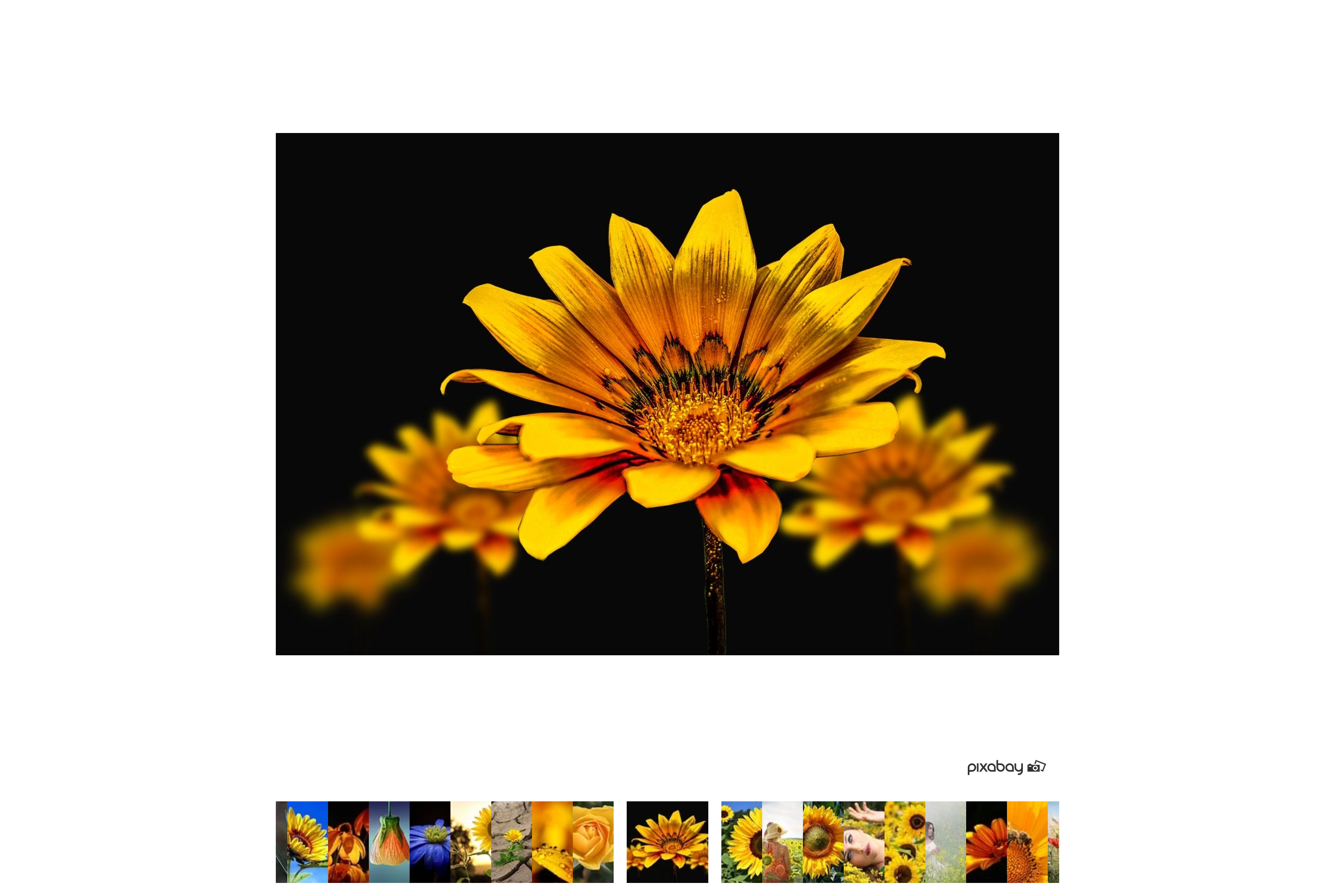 完成したギャラリー