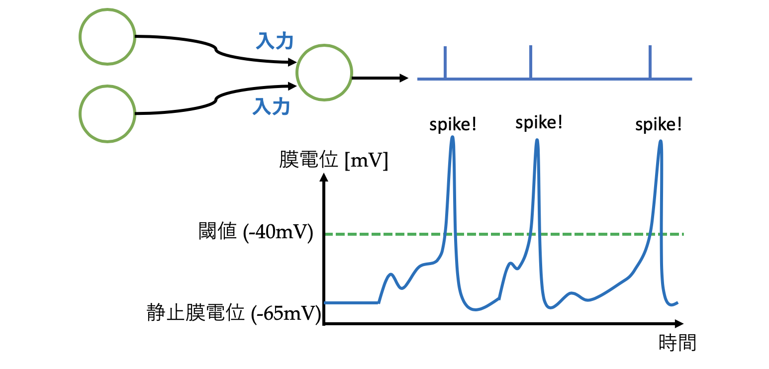 membrane_voltage_and_spikes